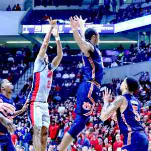 20190128_141945740_iOS