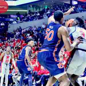 20190128_142919690_iOS