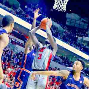 20190128_153438910_iOS