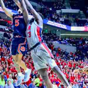 20190128_160016150_iOS